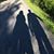 JoAnn Louise's profile image