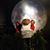 Thomas Sartwell's profile image