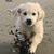 Pauline Hoegler's profile image
