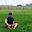 Harry Davis's profile image