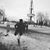 Jamie Lee Ippolito's profile image