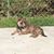 Billie Jo Solis Novak's profile image
