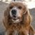 Diane Carroll's profile image