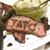 Marco Hernandez's profile image