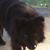 Alicia Treece's profile image