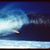 Larry Fuqua's profile image