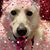 Jennifer Zauner's profile image