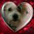 Pamela Mulac Worley's profile image