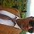 Winters Fielder's profile image