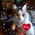 Nancy Williams Copple's profile image