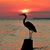 Katherine Dietle Savage's profile image
