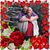 Tracie Kimzey-Veerkamp's profile image