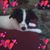 Patricia Gruetter's profile image