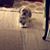 Carol Bronkema Willet's profile image