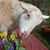 Shelly Cohen's profile image