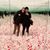 Stephanie Arizpe's profile image