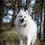 Barbara Sluis's profile image