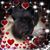 Christine Ann Meyer's profile image