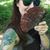 Amanda Stear's profile image