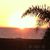 Margaret Jaramillo's profile image