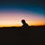 Avery Key's profile image