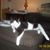 Chrissy Wherry's profile image