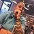 Jennifer Sanchez's profile image