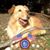 Marc Washburne's profile image