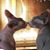 Elize Jooste's profile image