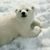 Terry Luskus's profile image