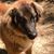 Sue McWilliams's profile image