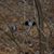 Sue Crowell's profile image