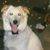 James Ogrosky's profile image