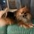 Eva Aburto's profile image