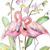 Bonnie Martin Boyles's profile image