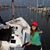 Amelia Bifano's profile image