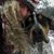 Kimberly Douglas's profile image