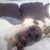 Melynda Tanner's profile image