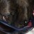 Laurie Gauthier II's profile image