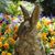 Mary Bailey's profile image