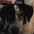 Lori Wallace Holberg's profile image