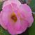 Esther Vance's profile image