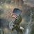 Eric Collins's profile image