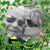 Julie Amos-Shank's profile image