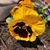 Lisa Degginger-Wood's profile image