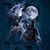 Krys Wolf's profile image