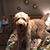 Cyndy Hermsen's profile image