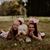 Haley Lynne Newton's profile image