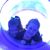 Nicole Lockridge's profile image