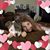 Rachel Brock Canady's profile image